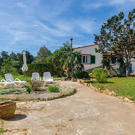 Yourhouse Sa Caseta De Shorta Willa