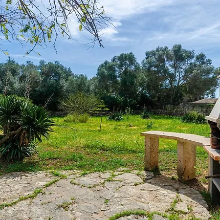 Yourhouse Sa Caseta De Shorta *