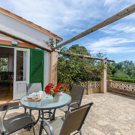 Yourhouse Sa Caseta De Shorta Willa