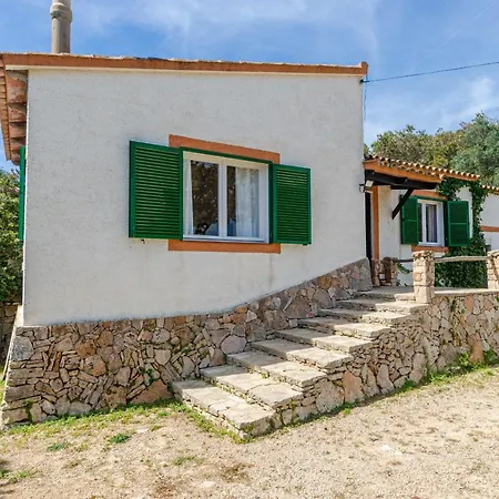 Yourhouse Sa Caseta De Shorta *